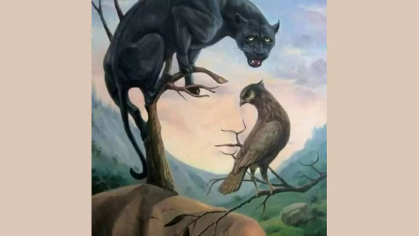 Optical Illusion What You See First Will Tell Your Hidden Qualities