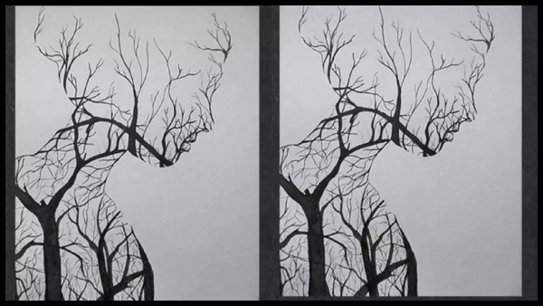 Optical Illusion What You See First Will Reveal If You Are Calm Or Impatient