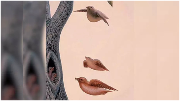 Optical Illusion What You See First Reveals About Your Deepest Desires