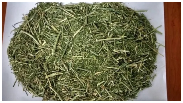 this leave will control cholesterol and blood sugar