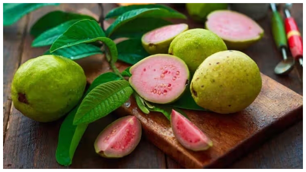 best time to eat guava fruit here the reason