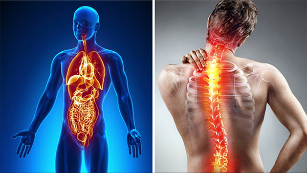 How Laptop and Mobile Phone Usage Affect Bone Problems in Tamil How Laptop and Mobile Phone Usage Affect Bone Problems in Tamil