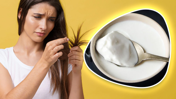 Hair Care How to Use Curd for Hair and Skincare in Tamil