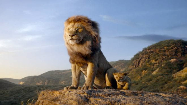Why Lion Is Called The King Of The Jungle in Tamil
