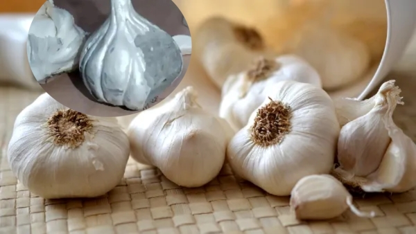 Fake Garlic Alert Tips to Identify the Original Garlic in Tamil Fake Garlic Alert Tips to Identify the Original Garlic in Tamil