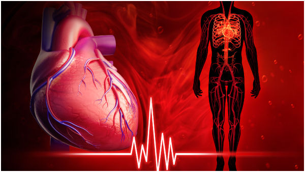 Heart Healthy Foods High Protein Foods To Protect Heart Health In Tamil Heart Healthy Foods High Protein Foods To Protect Heart Health In Tamil