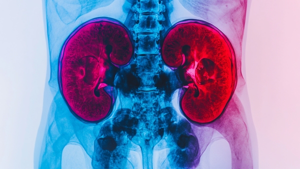 World Organ Donation Day Myths and Facts About Kidney Donation in Tamil