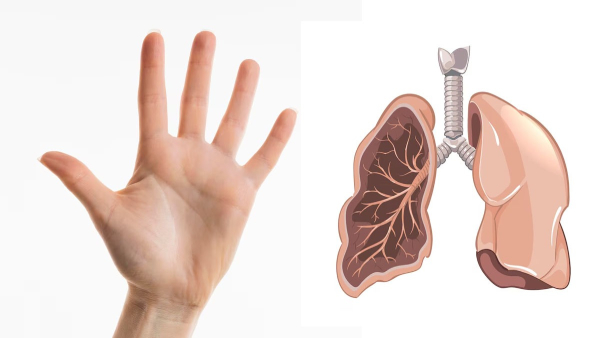 Simple Finger Test That Can Help Detect Early Lung Cancer Signs
