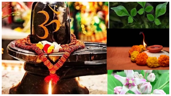sawan 2024 do these things in this shravan month will get lord shiva blessings
