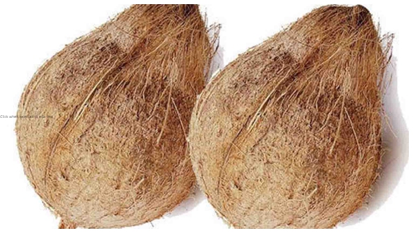 simple-hack-will-keep-unbroken-coconuts-fresh-for-longer-here-the-video