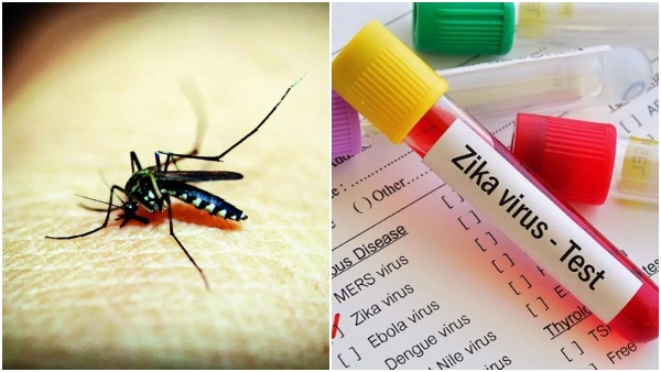 Zika Virus In Bangalore Know How To Keep Yourself Protected From Zika Infection