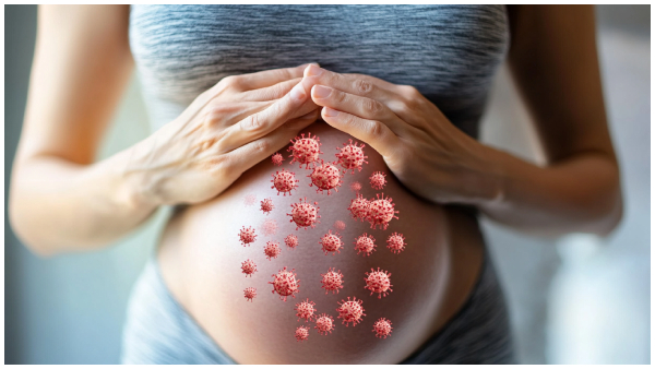 Pune Reports New 8 Zika Virus Cases In Pregnant Women How This Virus Affects The Foetus