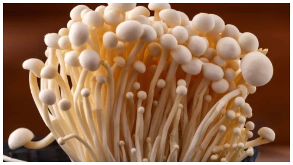 how to make Enoki Mushrooms with omelets here the break fast recipe