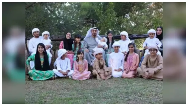 Rs 4000 crore palace 8 jets 700 cars full details about Abu Dhabi royal family