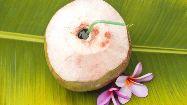 Who Should Avoid Drinking Coconut Water in Tamil