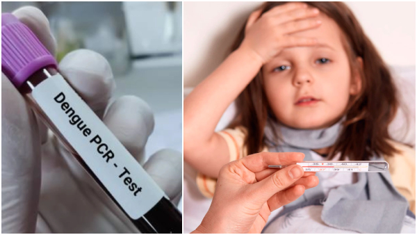 Dengue-Like Fever Spreading Among Kids In Bangalore Know How To Keep Your Child Protected