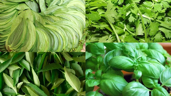 face-will-glow-using-these-leaves