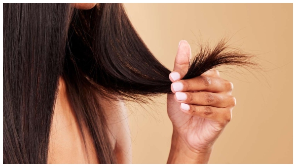 how to get rid from Split ends hair here the tips how to get rid from Split ends hair here the tips