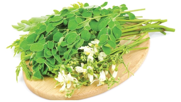 how to make a moringa dosa here the recipe how to make a moringa dosa here the recipe