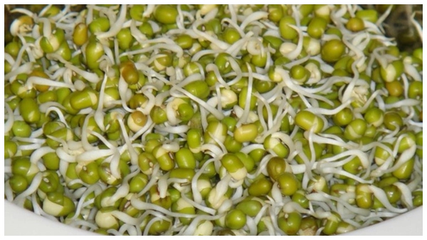 how to make a Pachai Payaru dosa and its benefits Instant Moong Dal