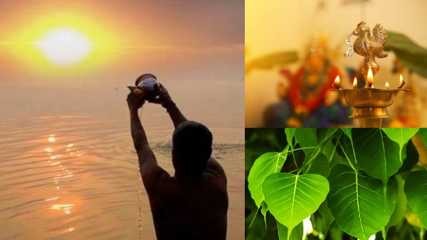 If you do all this in Mahalaya Paksha you can get rid of Pitru Dosha