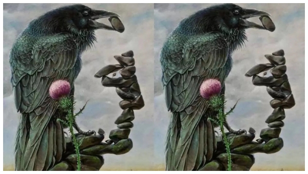 Optical Illusion What You See First Will Reveal Your Inner Thoughts