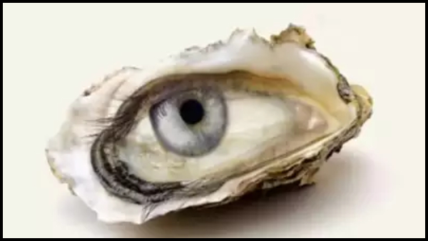 Optical Illusion What You See First Will Reveal If You Are Lucky Or Not