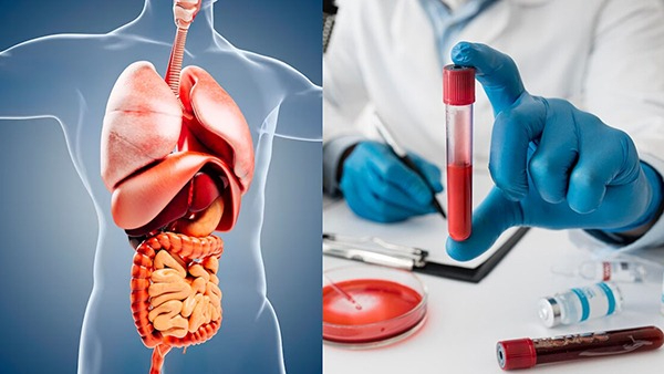 Chinese Man Dies Of Organ Failure After Working 104 Days