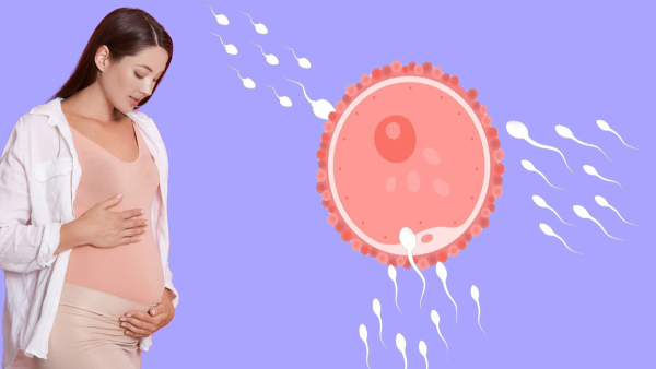 Exclusive Interview Myths About Getting Pregnant