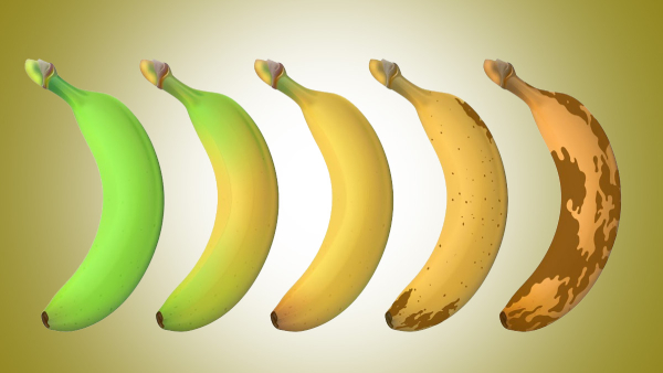 How to Keep Bananas Fresh for Longer in Tamil How to Keep Bananas Fresh for Longer in Tamil