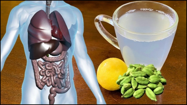 Cardamom Water Benefits Health Benefits Of Drinking Cardamom Water For 30 Days In Tamil Cardamom Water Benefits Health Benefits Of Drinking Cardamom Water For 30 Days In Tamil