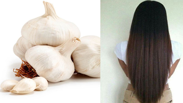 Hair Care How to Make Garlic Oil for Hair Growth at Home in Tamil
