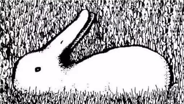 Optical Illusion What You See First Will Reveal Your Approach Towards Life
