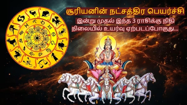 Sun Transit In Swati Nakshatra On 24 October 2024 These Zodiac Signs Get Financial Benefits