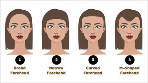 Personality Test What Does the Shape of Your Forehead Say About Your Nature