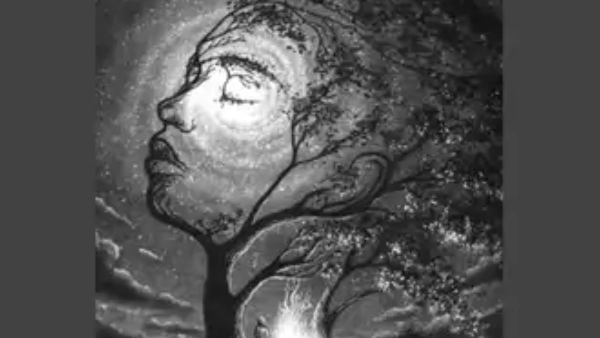 Optical Illusion What You See First Reveal You Are An Extrovert or Introvert