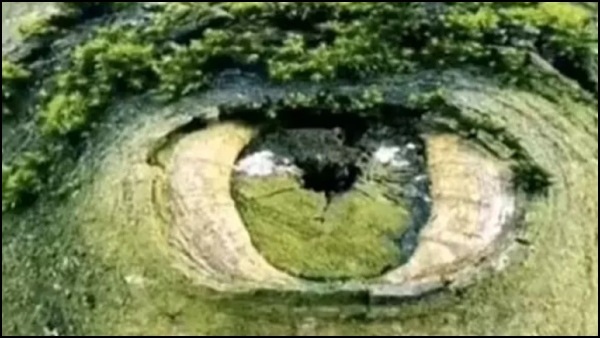 Optical Illusion Test What You See First Will Reveal Your Deepest Insecurity