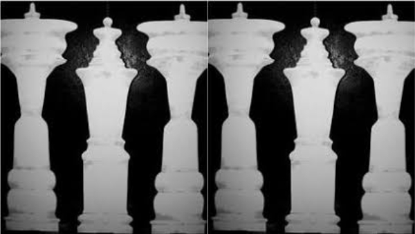 Optical Illusion What You See First Reveals Whether You like The Changes In Life or not