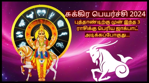 Venus Transit In Capricorn On December 2024 These Zodiac Signs Get More Wealth and Prosperity