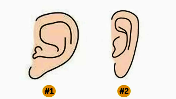 Personality Test What Do Your Ears Say About You
