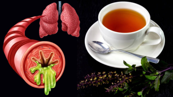 Winter Health Tips Herbal Teas To Reduce Mucus And Boost Immunity During Winter Winter Health Tips Herbal Teas To Reduce Mucus And Boost Immunity During Winter