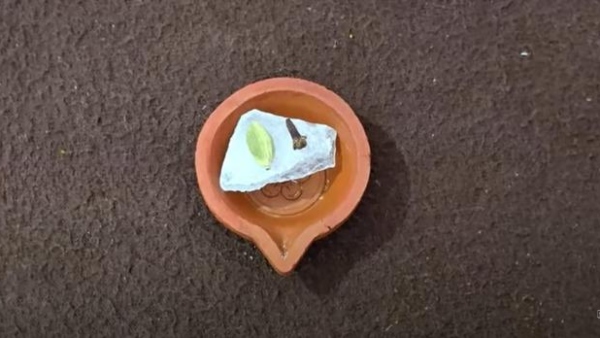 Karthigai Deepam 2024 Keep These 3 Things In Agal Vilakku To Attract Money