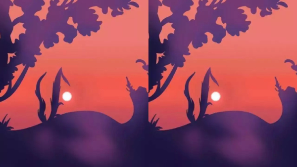 Optical Illusion What You See In This Picture Will Reveal Your Interesting Personality