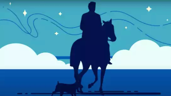 Optical Illusion Guess The Direction Of The Horse And Know Your Personality