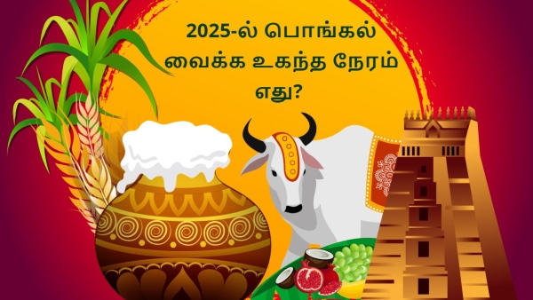 Pongal 2025 Date Time Rituals History Celebration And Significance In Tamil