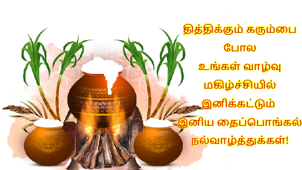 Happy Pongal Wishes Quotes Messages Images Facebook Whatsapp Status In Tamil
