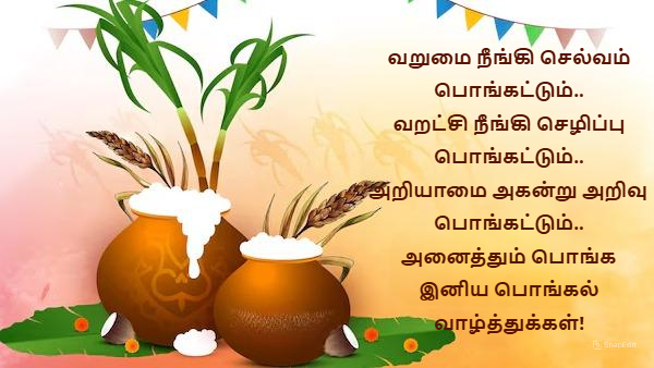 Happy Pongal Wishes Quotes Messages Images Facebook Whatsapp Status In Tamil