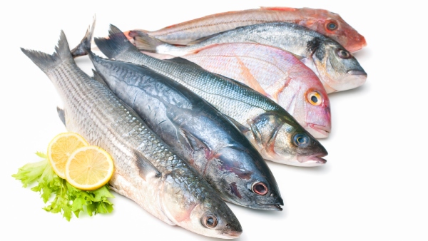 Cholesterol Top 5 Types Of Fish You Must Add In Your Diet To Control Cholesterol