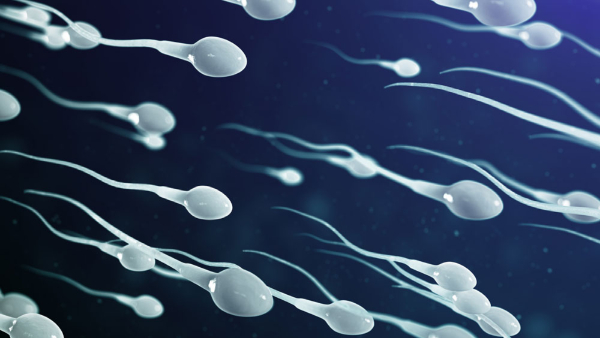 Male Fertility Foods That Affect The Sperm Count In Tamil