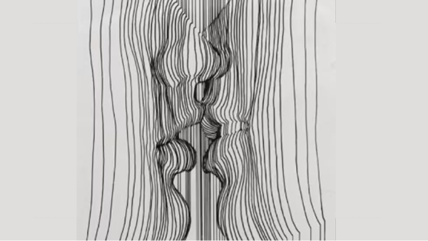 Optical Illusion What You See First Reveal You Are More Kind-hearted Or Hardworking